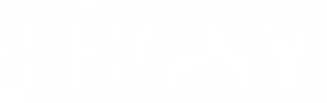 Ebony logo - white
